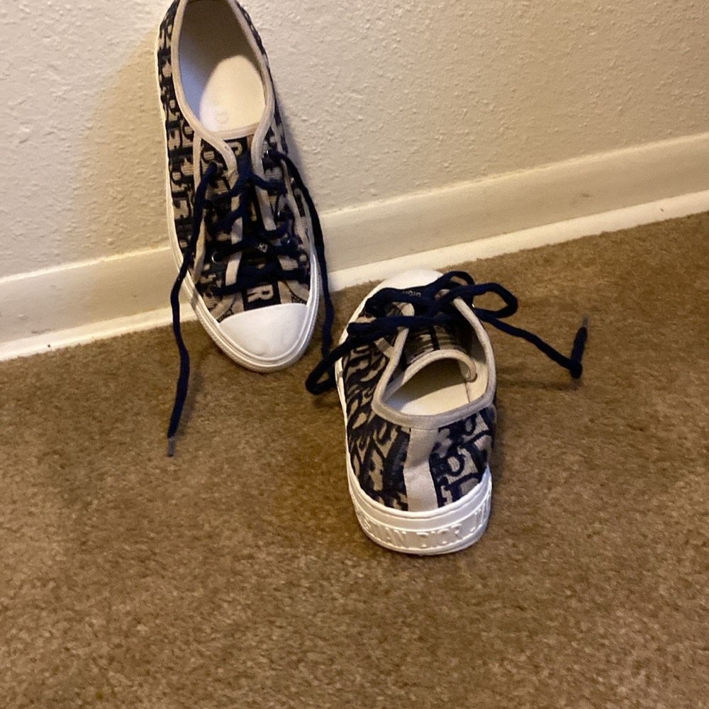 Walk n Dior Sneakers